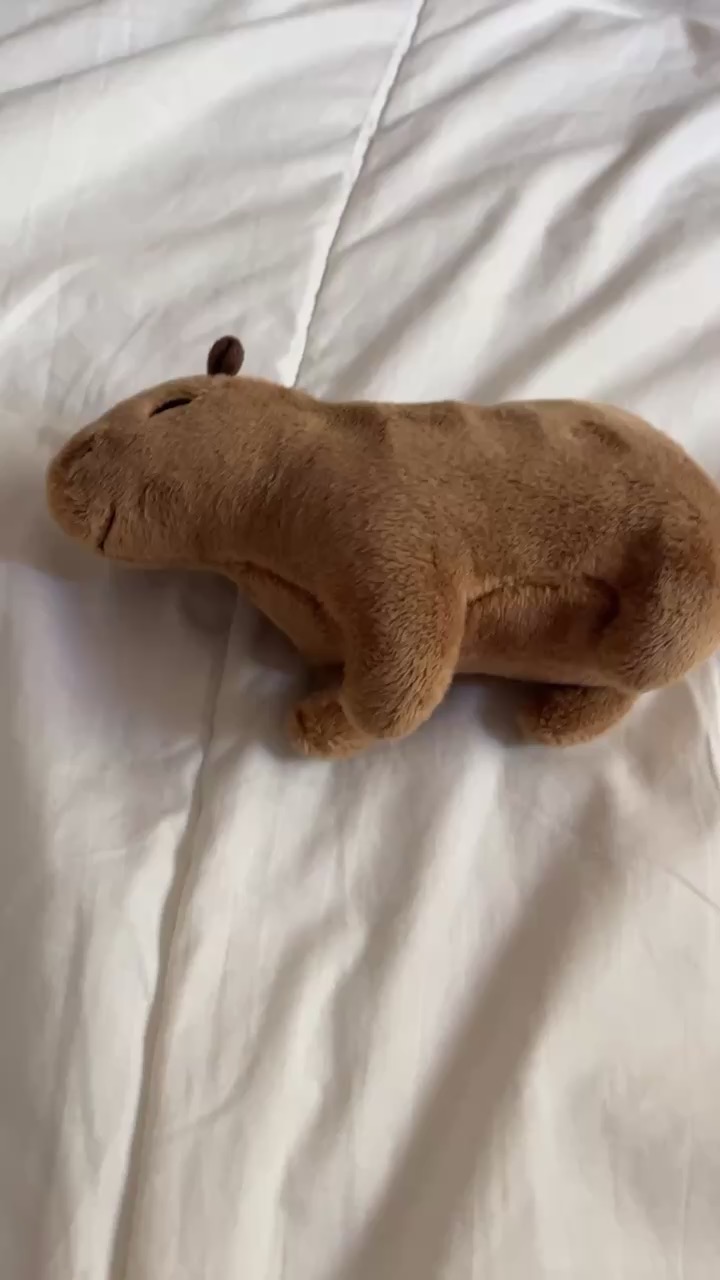 2größen Simulation Tier Capybara Plüschtiere Niedliche Capybara ...