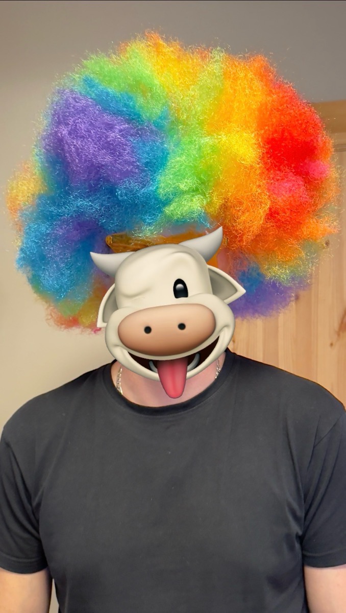 Discount Promotion on Colorful Curly Clown Wigs for Costume Parties, Complete with Funny Glasses And a Hairnet for Fans photo review