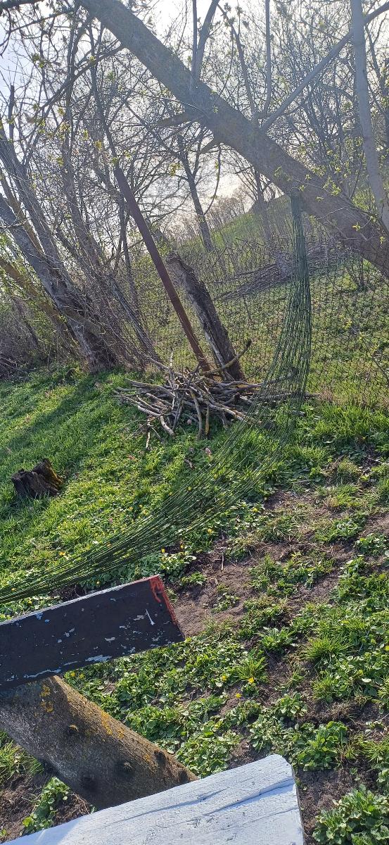 Your Portable Oasis: Luxury Nylon Mesh Hammock for Unparalleled Comfort! photo review