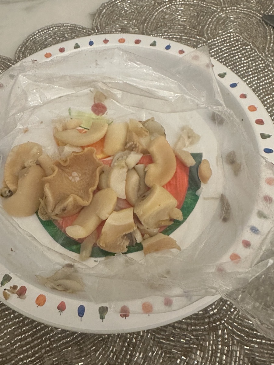 Baby Newborn Spring & Summer 5pcs Set, 0-3 Months Baby Outfit, Random Cute Cartoon Designs, Machine Washable, 1 Top, 2 Pants, Hat, Bib, Perfect for Outdoor, The Best Gift for Newborns and Pregnant Moms, Perfect for Outdoor photo review