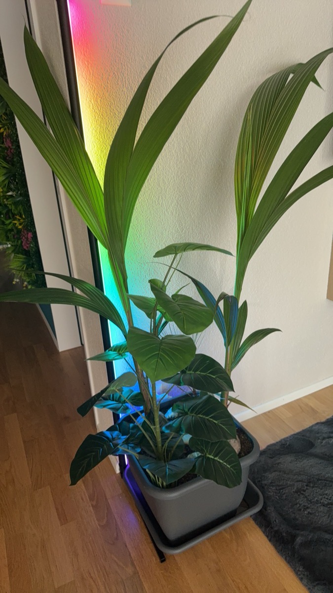 Lampe de sol d'angle RGBIC avec 16 millions de couleurs vibrantes, alimentée par USB, contrôle via application intelligente, synchronisation musicale, 1600 options de couleurs, à intensité variable, fonction minuterie, noire, idéale pour Noël, chambre à coucher, salon photo review