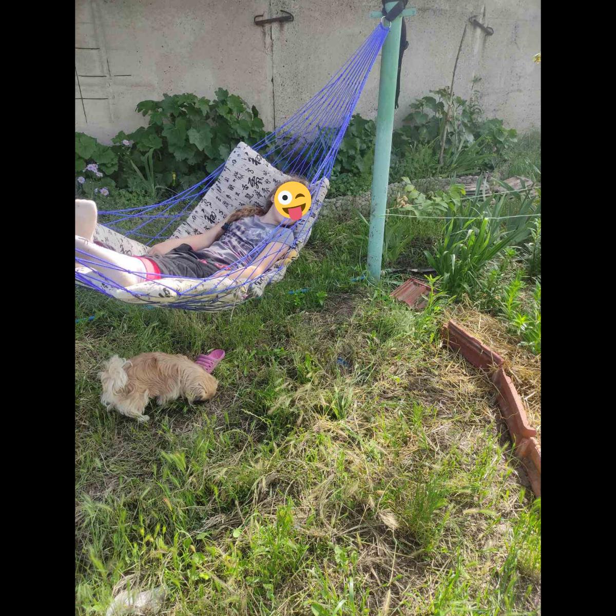 Your Portable Oasis: Luxury Nylon Mesh Hammock for Unparalleled Comfort! photo review