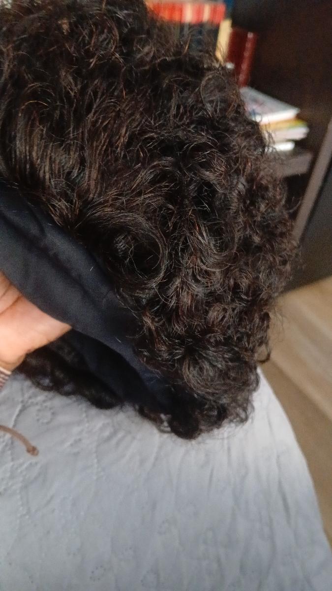 150% Density Human Hair Wig Short Headband Bob Wig Natural Black Short Curly Bob Cut Glueless Headband Wig Full Machine Curl Wig photo review