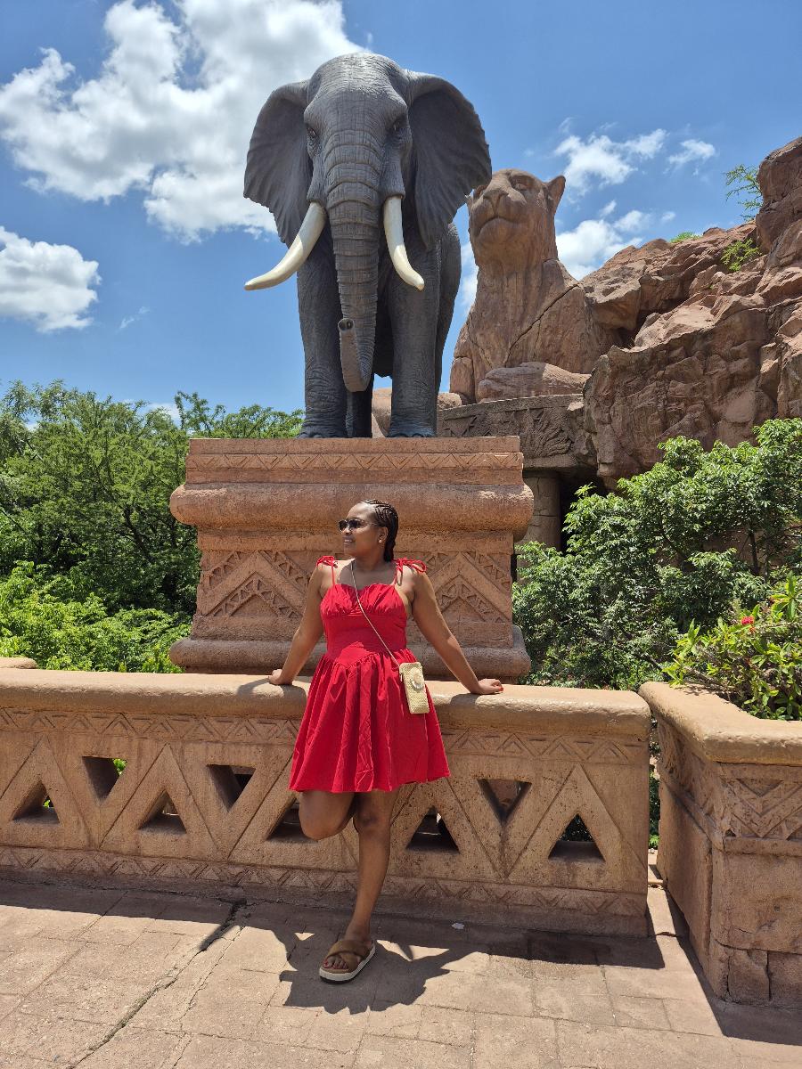 Women's Solid Color Spaghetti Strap Tie-Waist Wrap Dress photo review