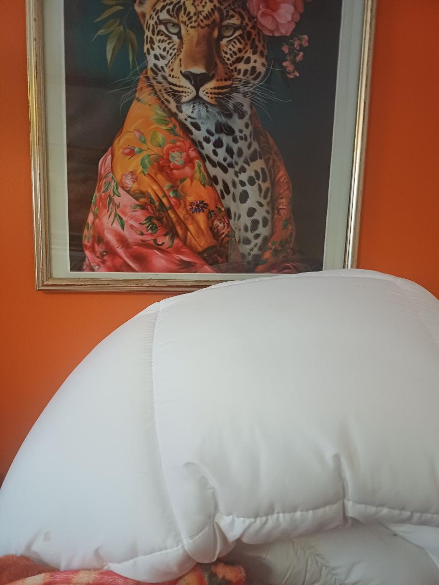 BEST HOTEL QUALITY DUVET QUILT POLYPROPYLENE OUTER COVER PLYSTER FILLED SINGLE DOUBLE KING SUPER-KING ALL SIZE 4.5 10.5 13.5 15 TOG WHITE DUVET WINTER WARM EXTRA WARM Striped Breathable King Size Washable White photo review