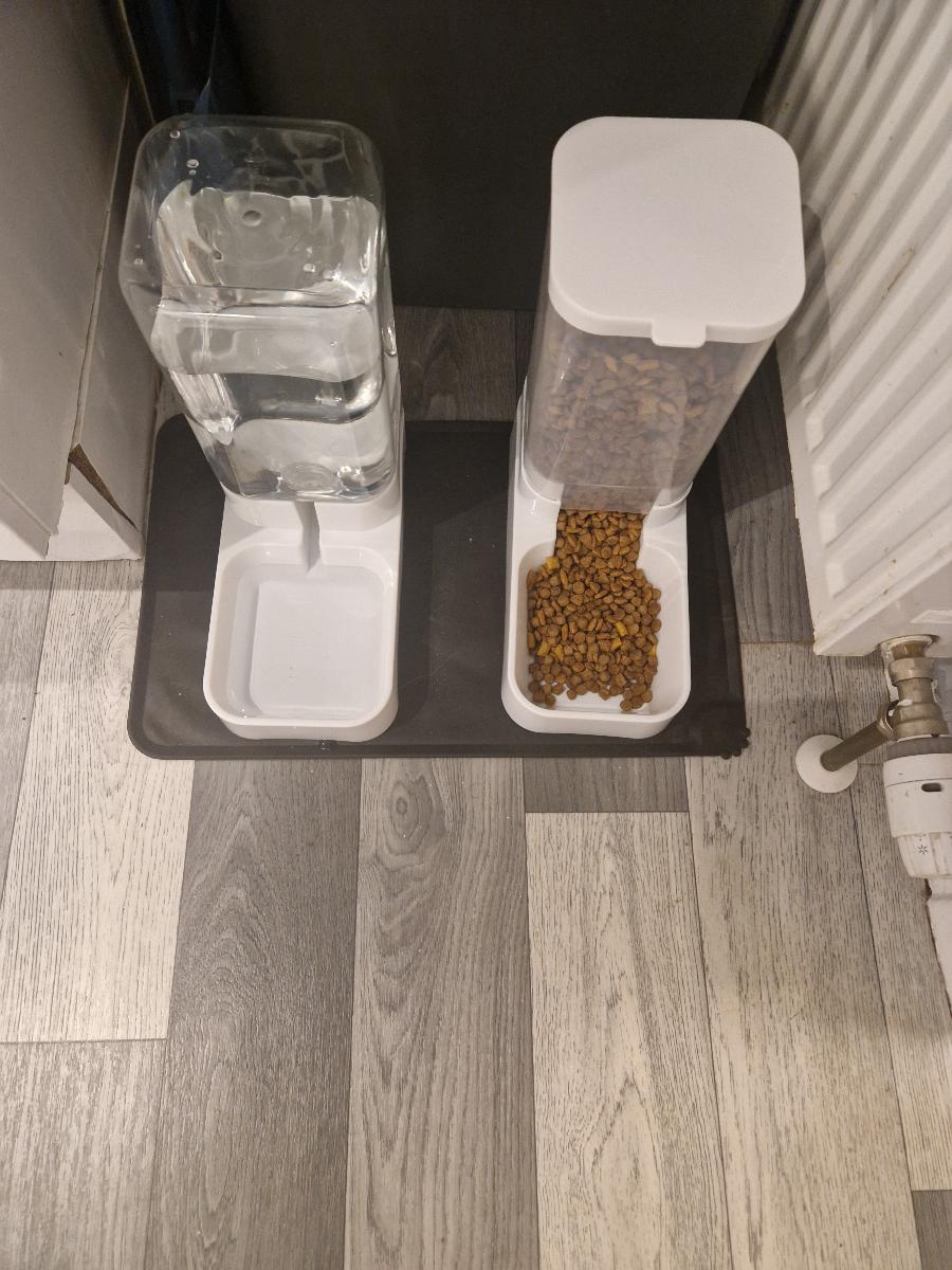 Pet Feeding Dispenser Set, 3.8L Transparent Bowls, Large for Dogs/Cats photo review