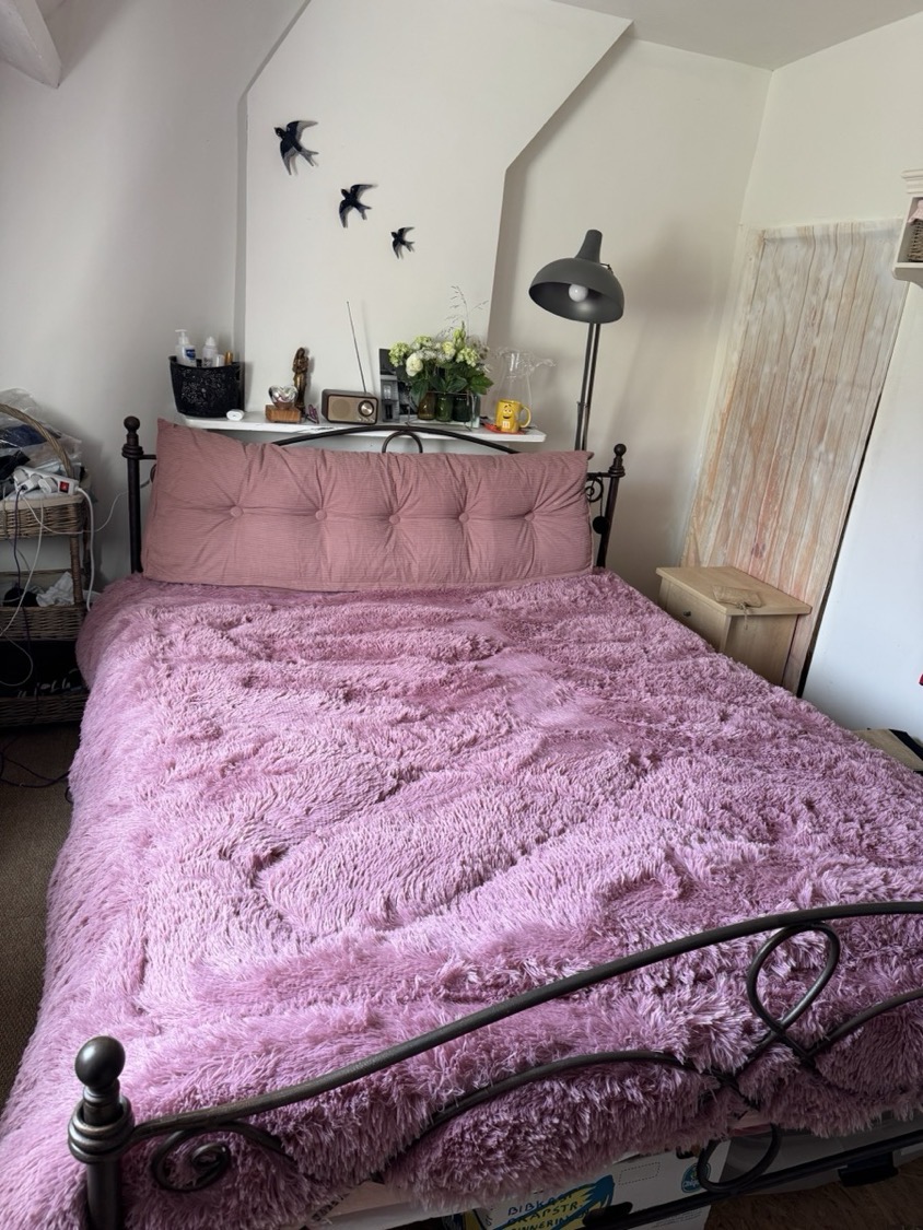 Ultra-Soft Faux Mink Plush Throw Blanket - Thick, Lightweight & Warm For All Seasons, Versatile Solid Color Design, Machine Washable, Christmas Present photo review