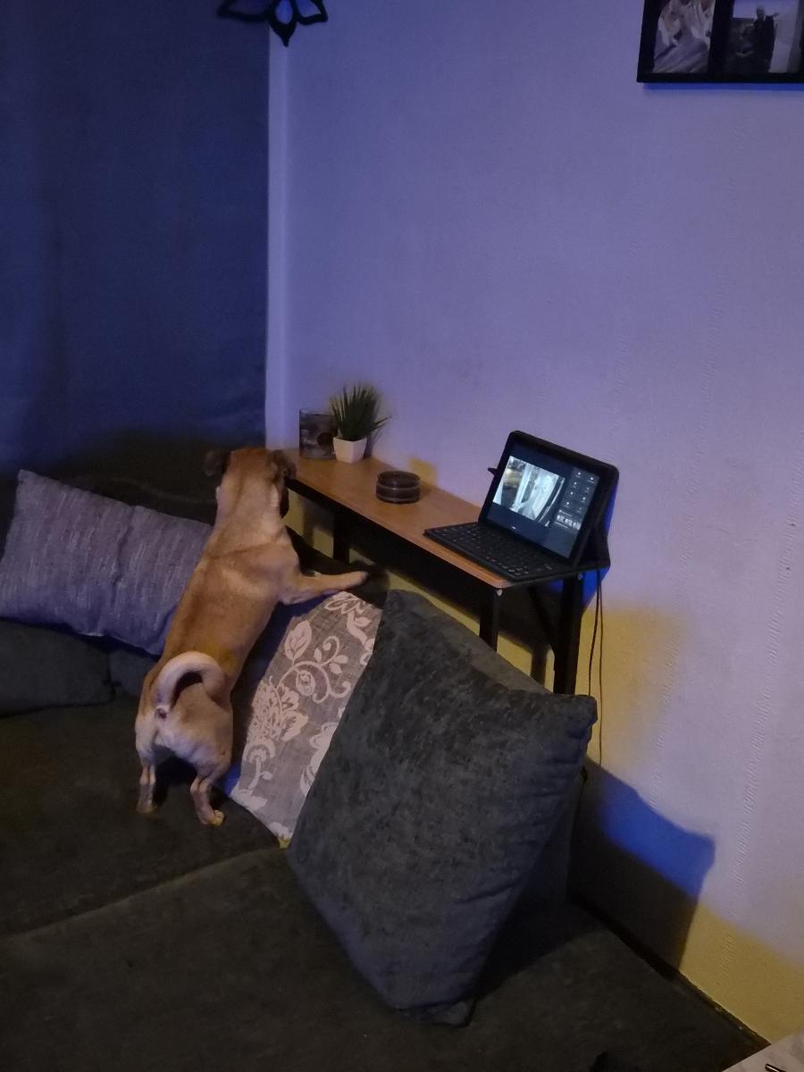 Space Efficient Side Table Single Double Tier Wall Mounted MDF Shelf with Metal Frame Multi Functional Narrow Table with Storage Hallway Bedroom Table 80x20cm Wood Black White Frame photo review