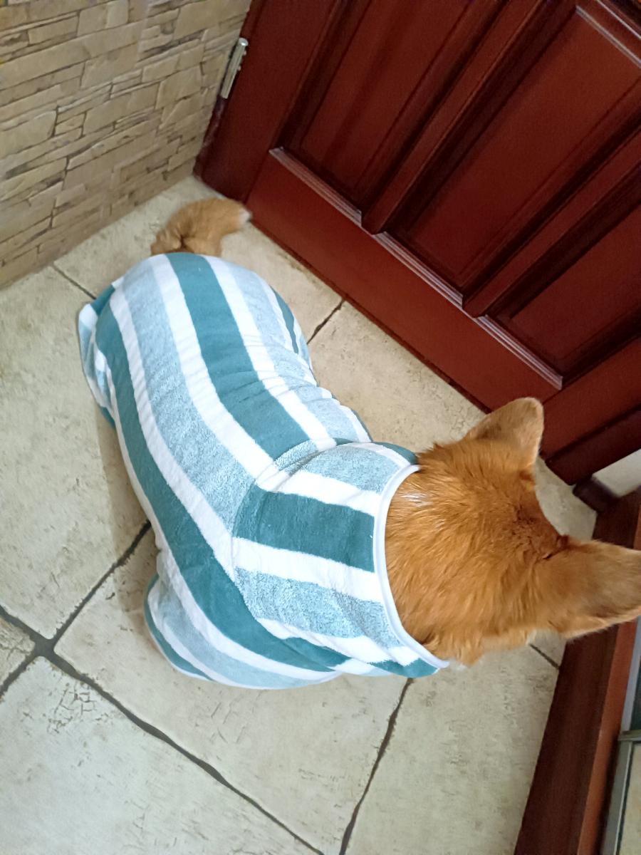 Dog Bathrobe Drying Coat — customer photo