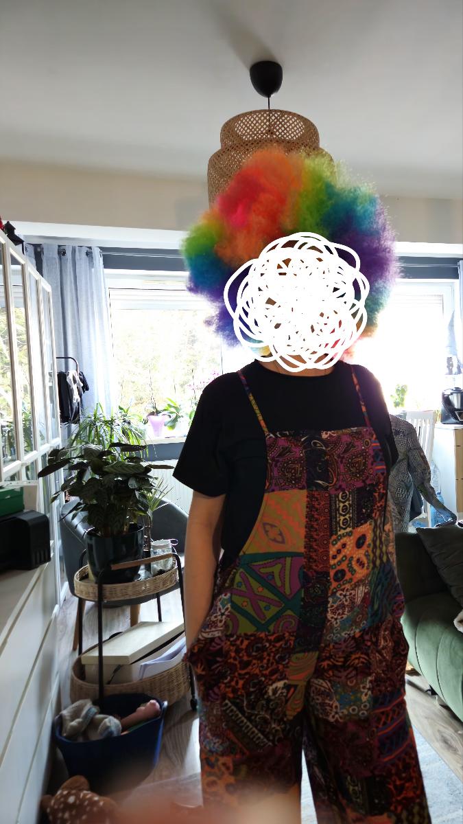 Discount Promotion on Colorful Curly Clown Wigs for Costume Parties, Complete with Funny Glasses And a Hairnet for Fans photo review